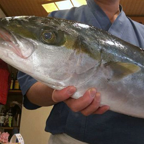 すし処 まつ本のメニュー 種類豊富な日本酒 焼酎も